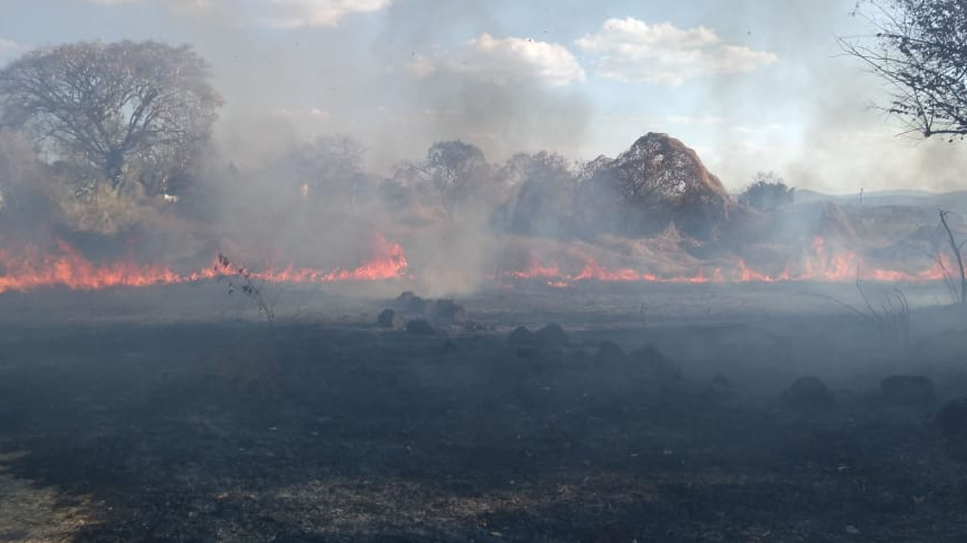 SE INCENDIAN PASTIZALES EN EL CAÑÓN DE LOBOS