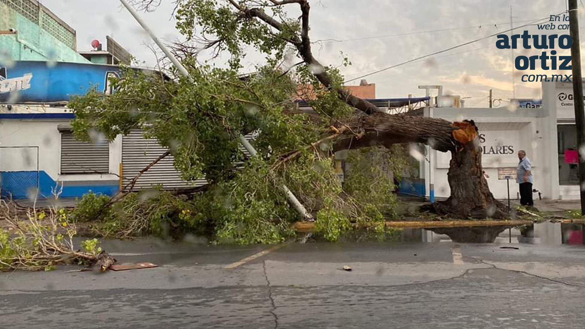 LLUVIA DE MIÉRCOLES DEJA ENCHARCAMIENTOS Y ÁRBOLES CAÍDOS