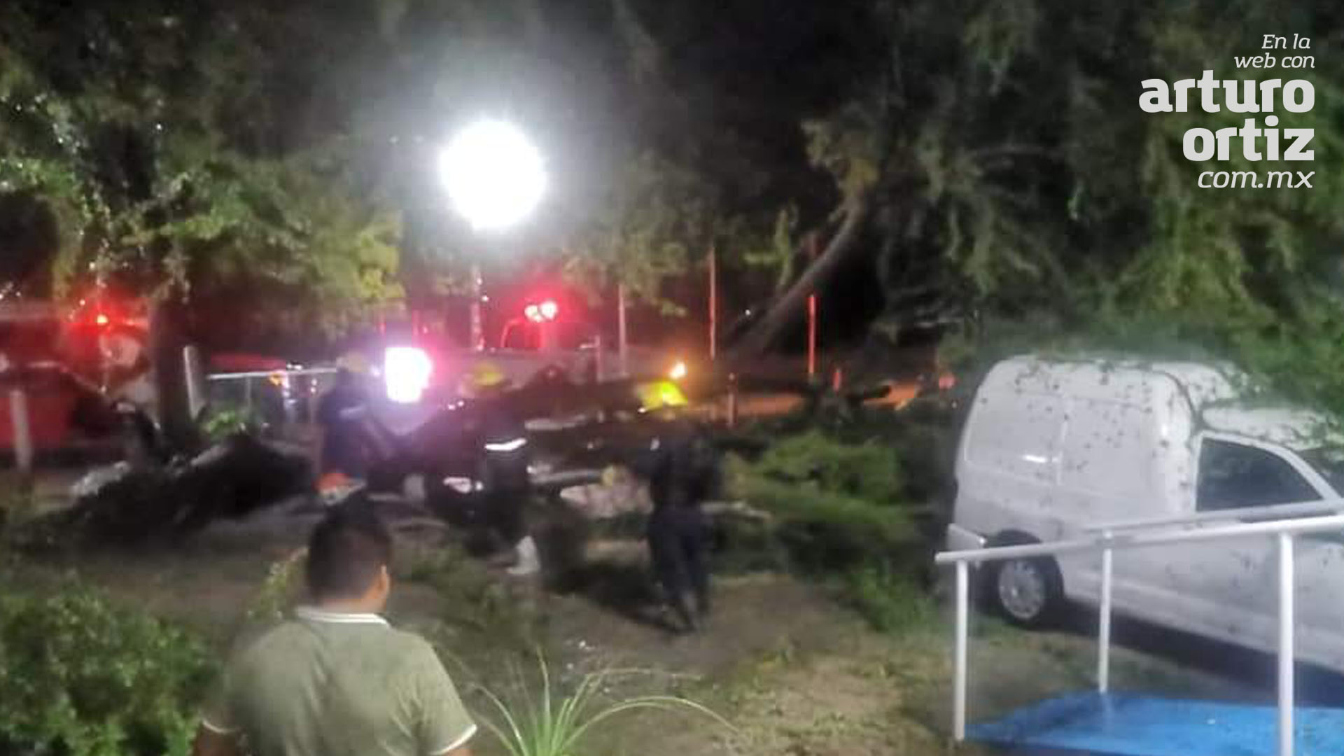 LLUVIAS PROVOCAN CAÍDA DE ÁRBOLES EN YAUTEPEC Y CUAUTLA