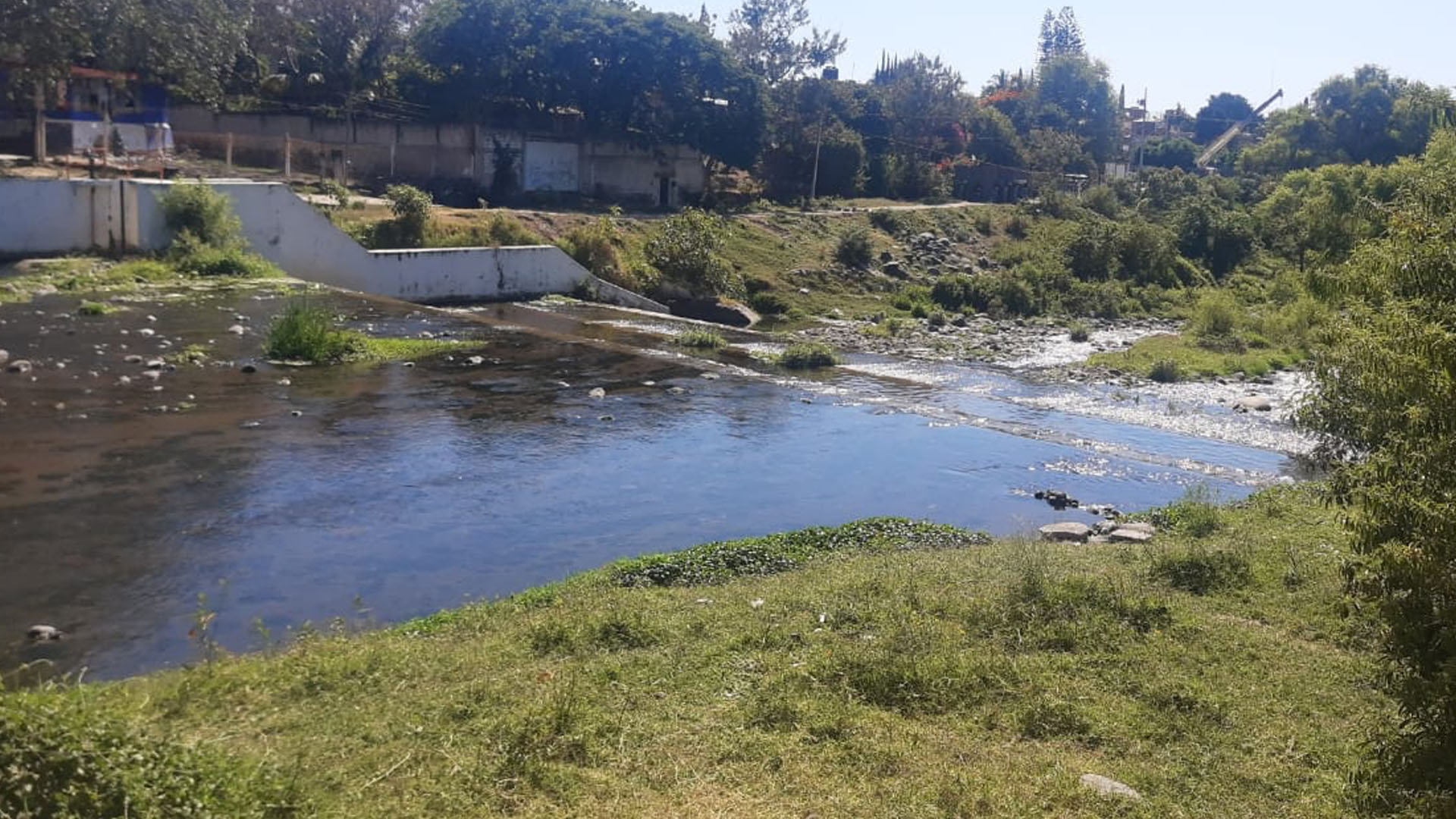 RÍO CUAUTLA SE ENCUENTRA MUY CONTAMINADO