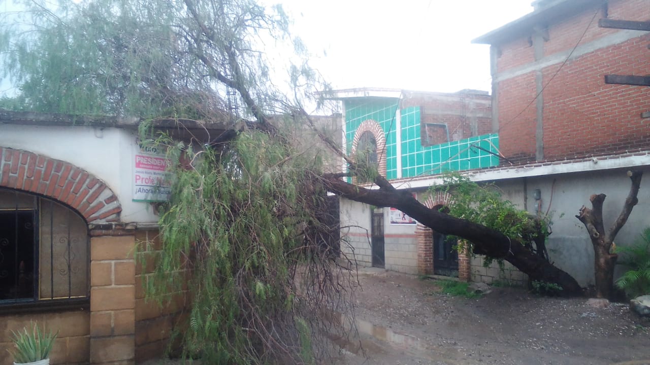 LLUVIAS GENERAN AFECTACIONES EN CUAUTLA