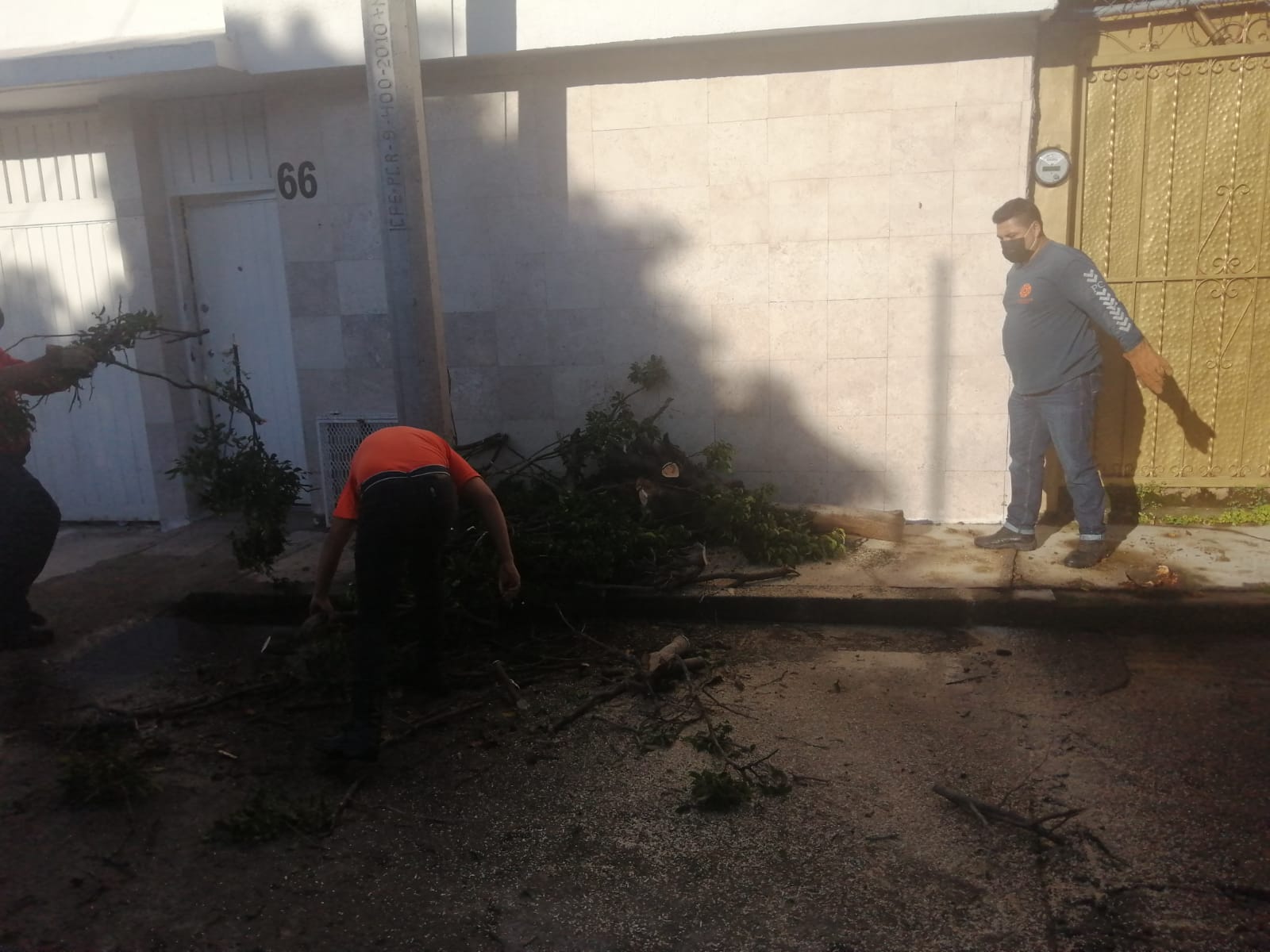 ATIENDE PC COLADERAS TAPADAS, ENCHARCAMIENTOS Y CAÍDA DE ÁRBOLES POR LLUVIAS