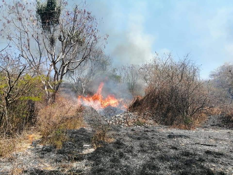 SE PREVÉ UN INCREMENTO DE HASTA UN 100% EN LOS INCENDIOS  EN CUAUTLA