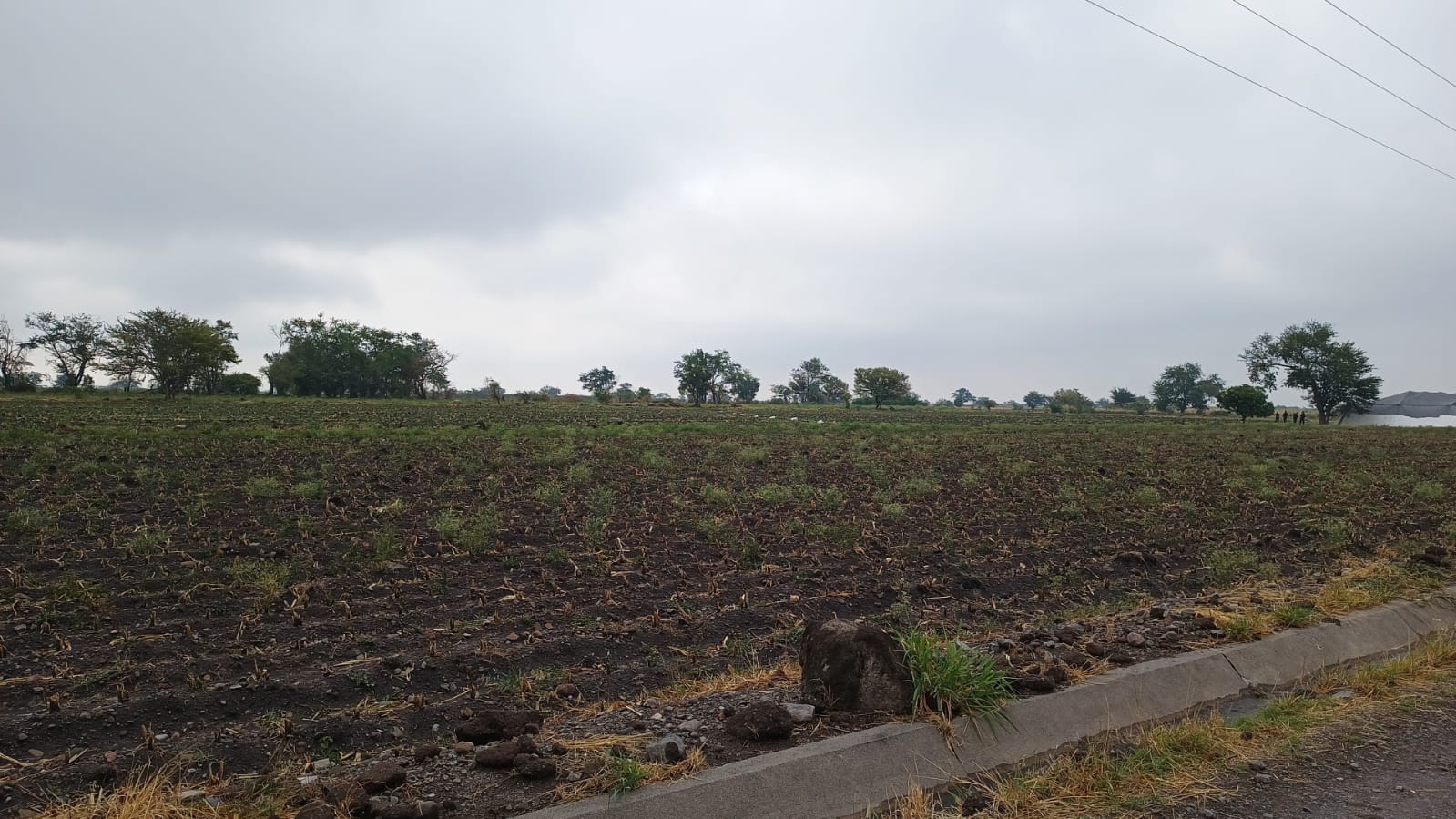 SE TIENEN ALTAS EXPECTATIVAS  PARA EL CAMPO EN LA REGIÓN ORIENTE