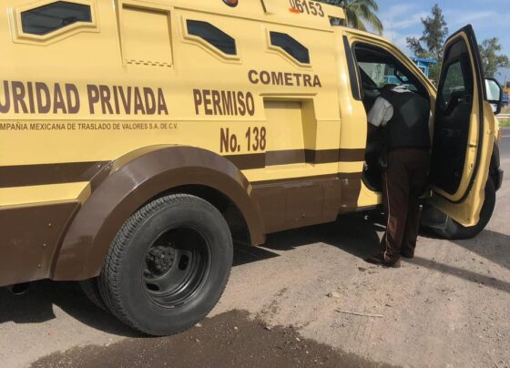 CAMIONETA, COMETRA, PERRITO, PERROS