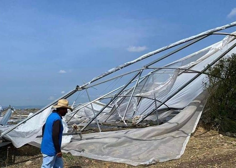 AFECTAN CONDICIONES CLIMÁTICAS A MÁS DE 200 AGRICULTORES