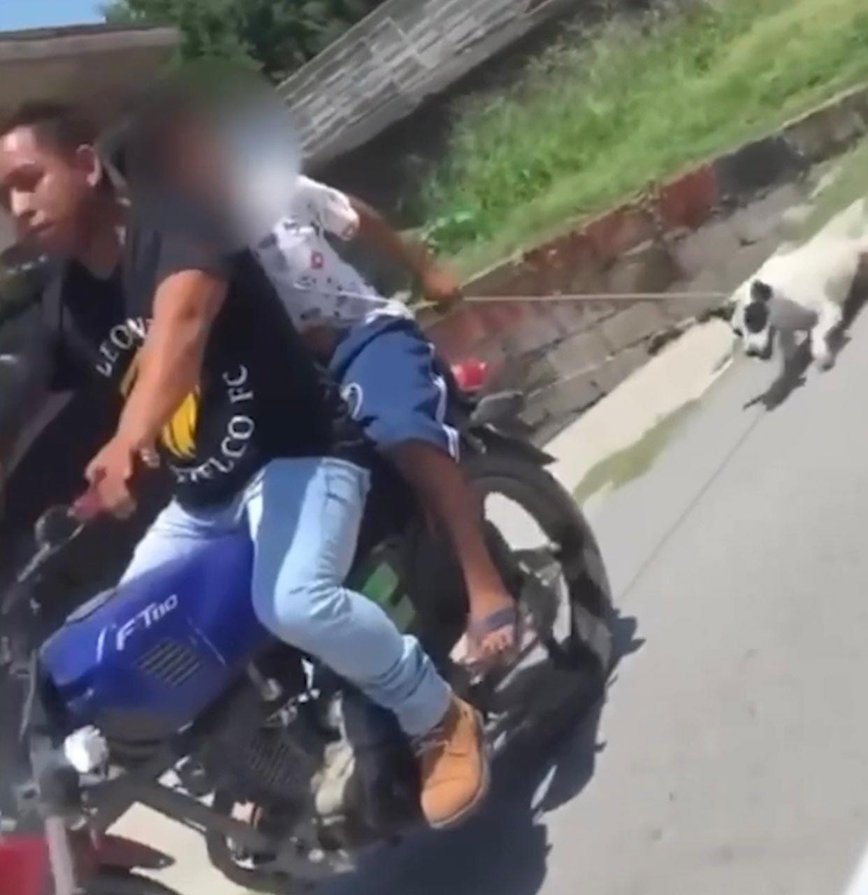 DENUNCIAN ANTE LA FISCALÍA A HOMBRE QUE ARRASTRÓ A PERRITO