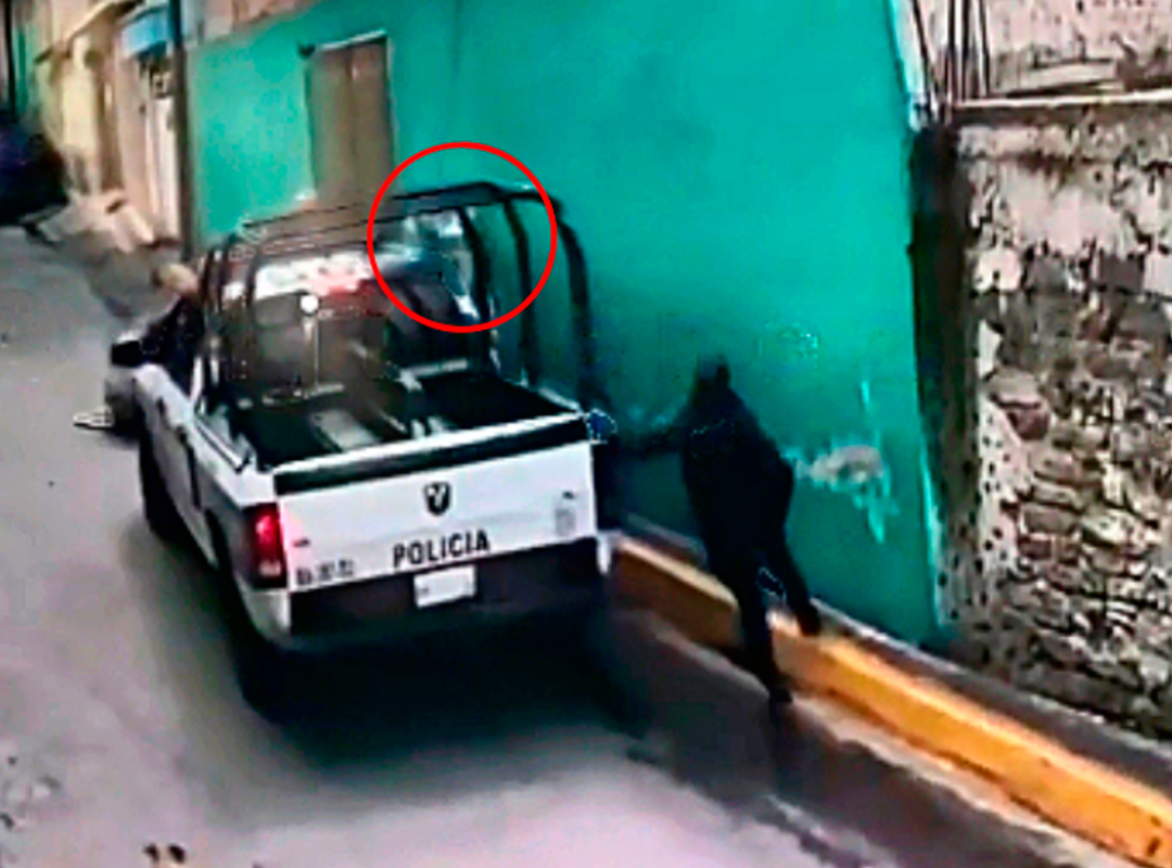 POLICÍAS SALVAN A PERRO TRAS CAER DE AZOTEA