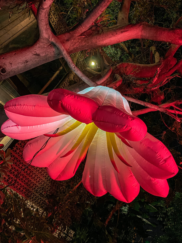 Noche de Museos Tres Flores Laura Elena Garduño Tallera Siqueiros Flores para Angelica 