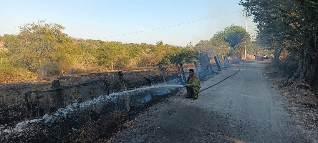 INCENDIOS EN PASTIZALES EN ZACATEPEC