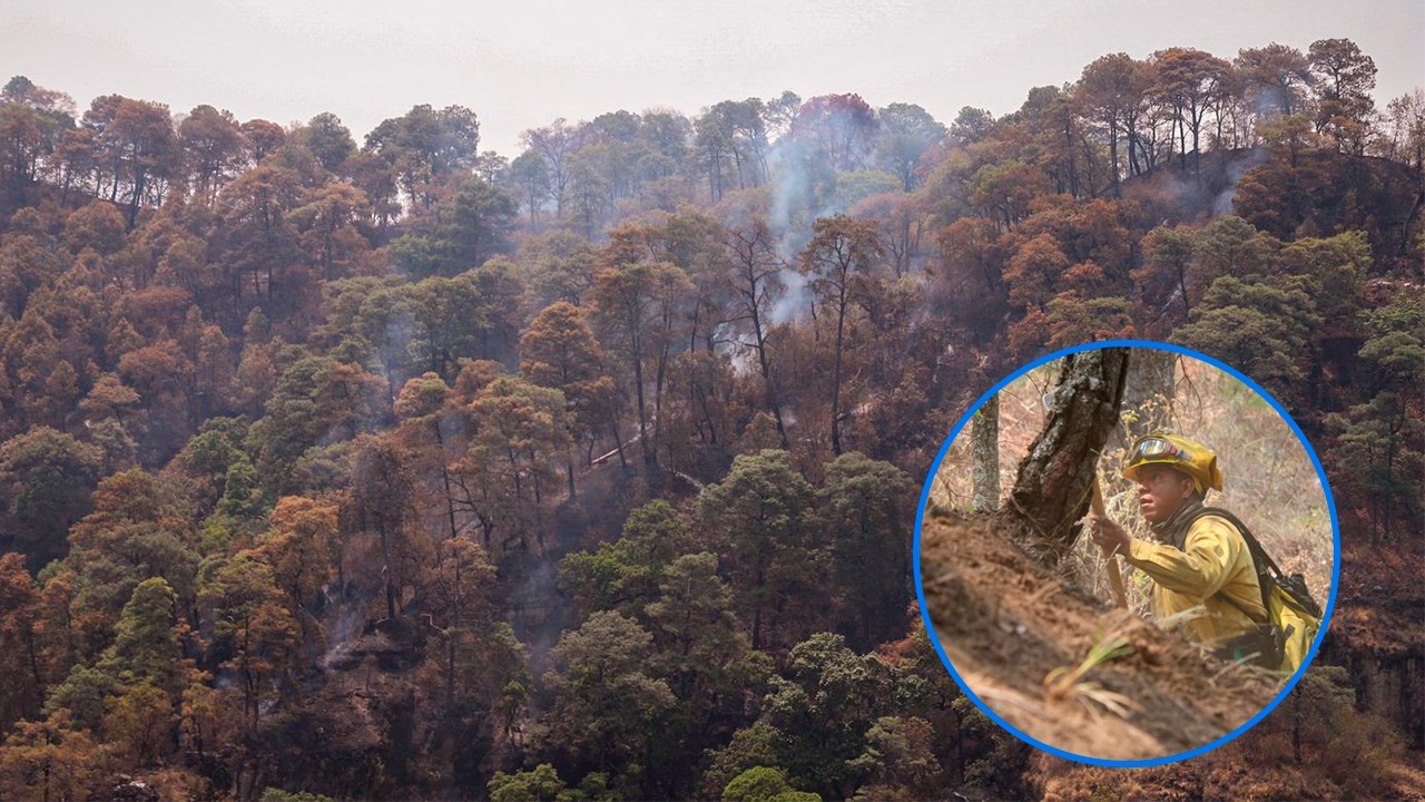 LIQUIDAN 60% DEL INCENDIO EN TEPOZTLÁN - Arturo Ortiz