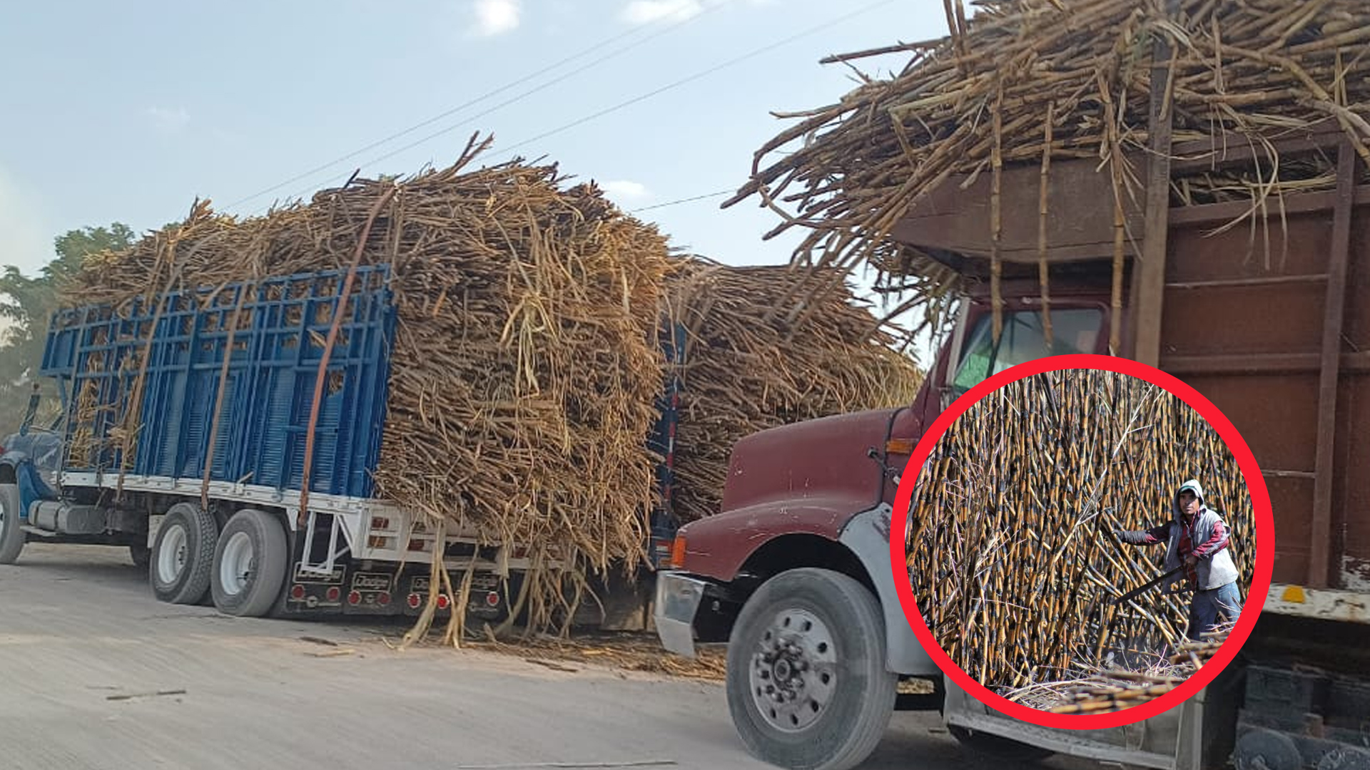 SE RETRASA LA ZAFRA POR MAL CLIMA