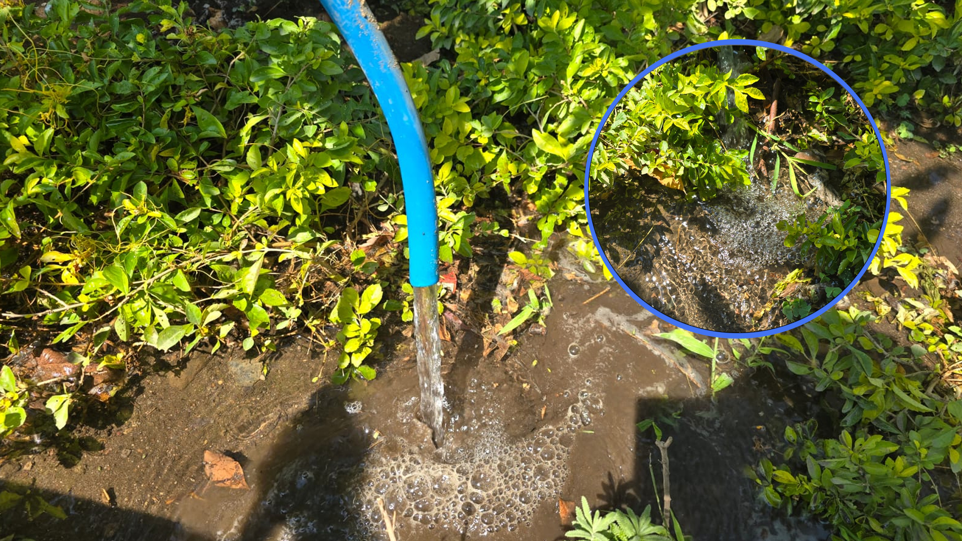 MULTAS A QUIENES DESPERDICIEN EL AGUA EN CUAUTLA