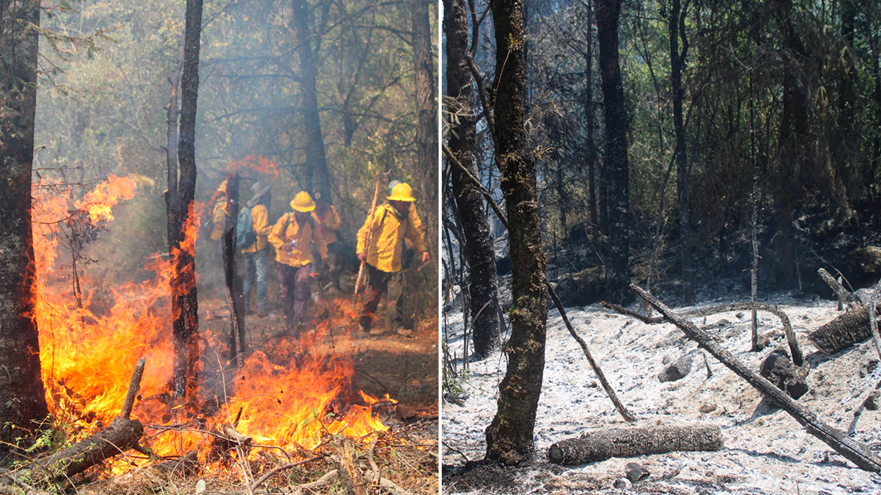 INCENDIO FORESTAL ACABA CON 862 HECTÁREAS DE BOSQUE EN HUITZILAC