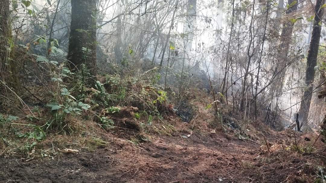 INCENDIO EN TETELA DEL VOLCÁN FUE PROVOCADO