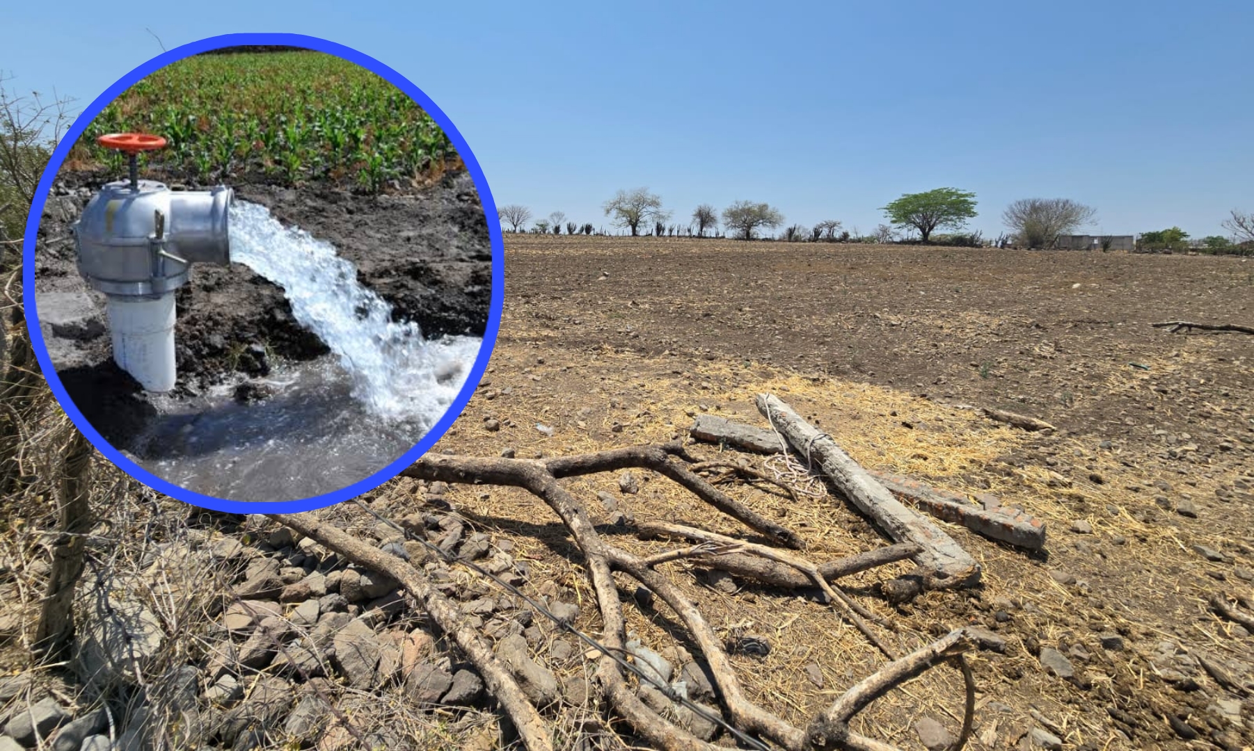 PREOCUPA A CAMPESINOS DE AYALA LA FALTA DE AGUA