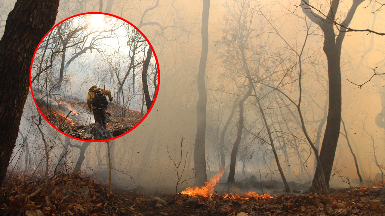 LIQUIDAN 30% DEL INCENDIO FORESTAL EN TILZAPOTLA, PUENTE DE IXTLA