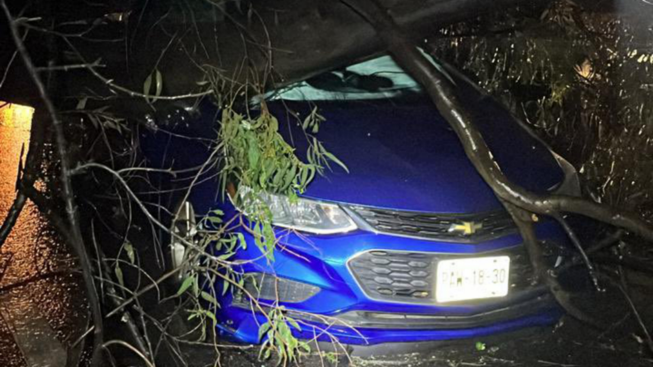 CAE ÁRBOL SOBRE UN CARRO EN LA MÉXICO-CUERNAVACA A LA ALTURA DE SANTA MARÍA AHUACATITLÁN