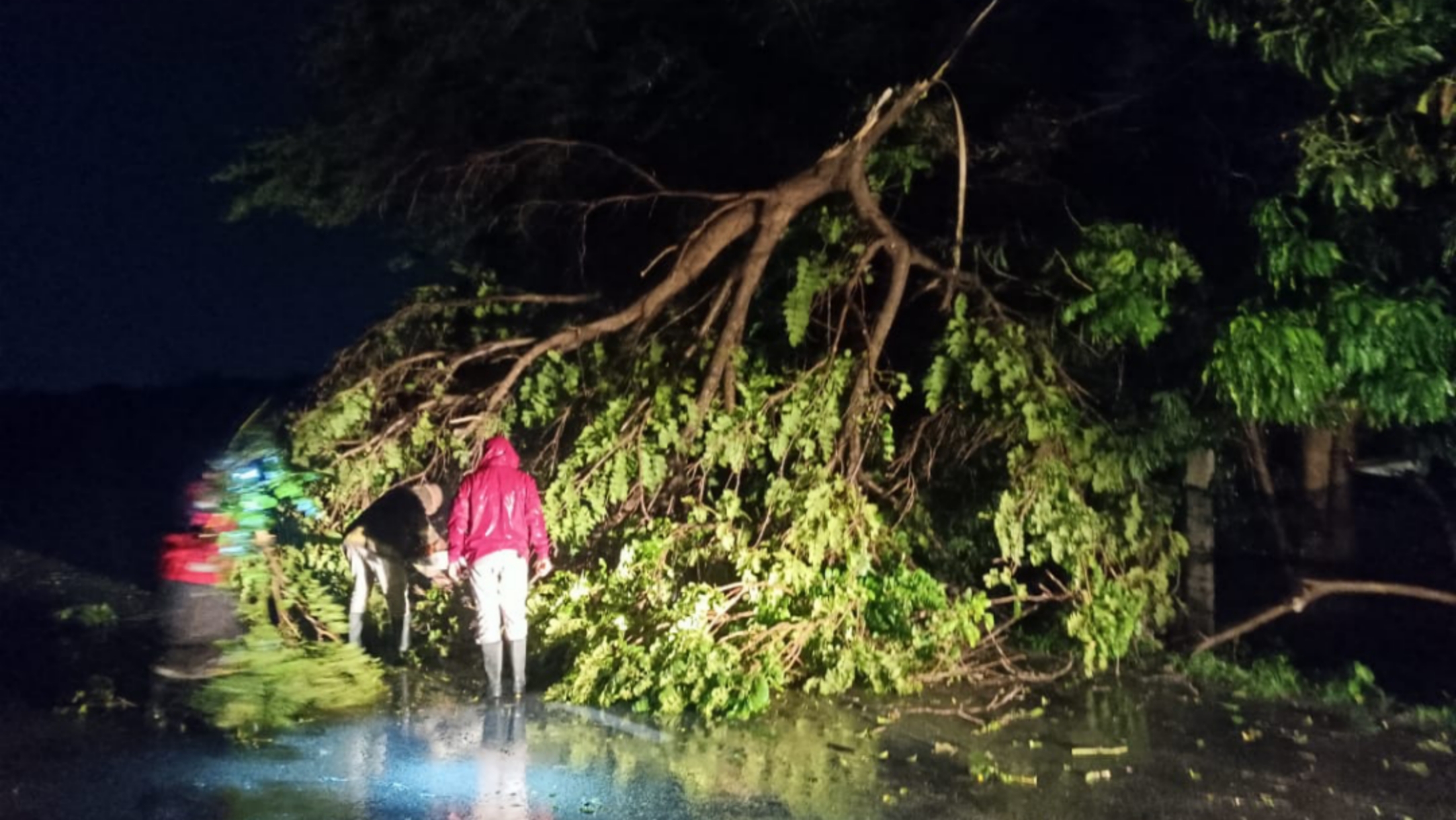 LLUVIAS INTENSAS PROVOCAN CAÍDA DE ÁRBOLES E INUNDACIONES EN LA REGIÓN SUR DE MORELOS