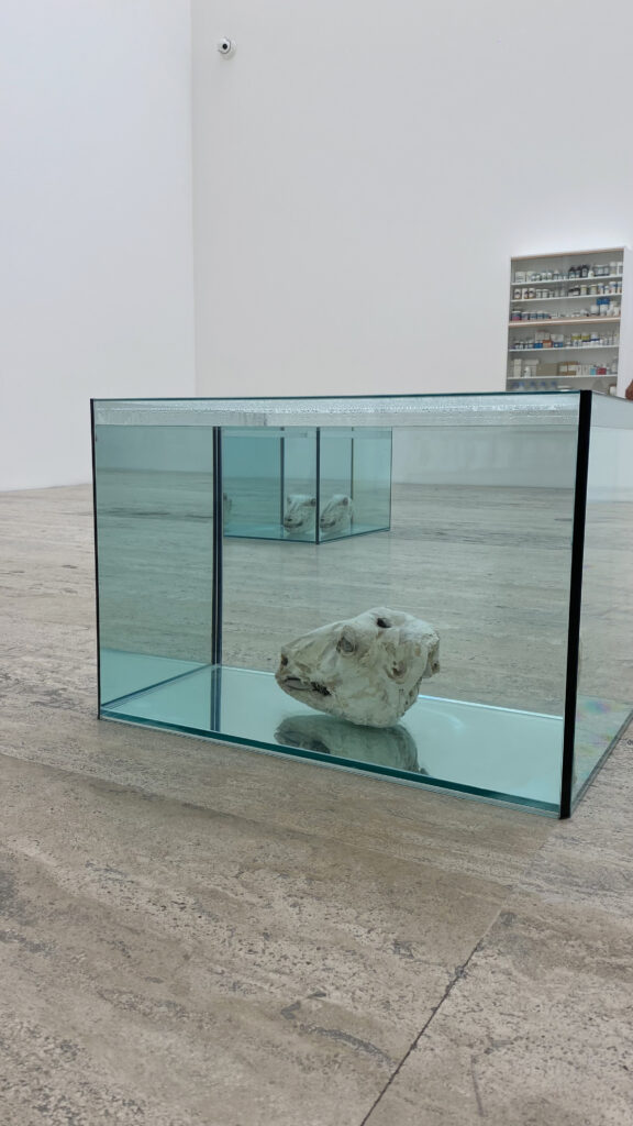 Damien Hirst