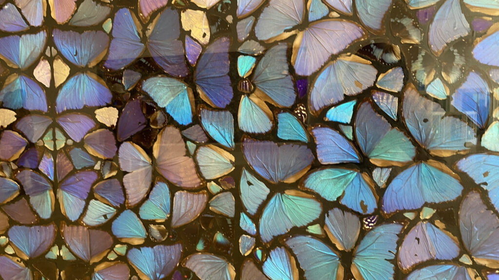 Damien Hirst