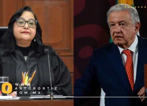 NORMA PIÑA CONSULTA A MINISTROS; AMLO RESPONDE