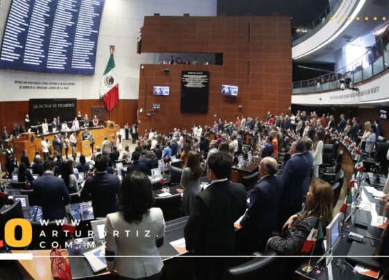 Reforma Judicial Senado