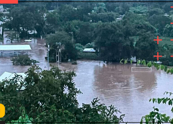 Un total de 47 casas quedaron inundadas debido a la creciente del río Amacuzac, provocada por las intensas lluvias de los últimos días.