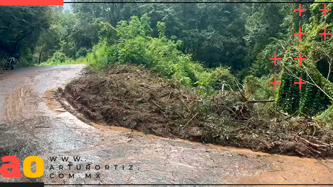 SE REGISTRA DERRUMBE Y CAÍDA DE UN ÁRBOL EN LA CARRETERA CUERNAVACA-OCUILAN