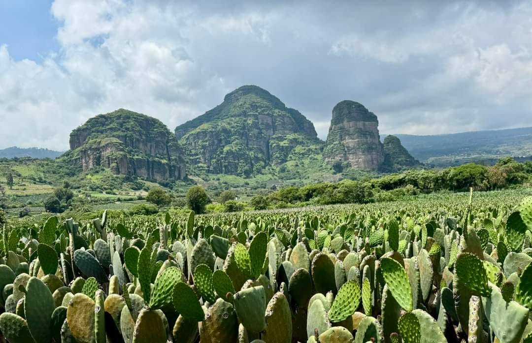 PIDEN AUTORIDADES DE TLAYACAPAN NO SUBIR CERROS EN ESTA TEMPORADA DE LLUVIAS