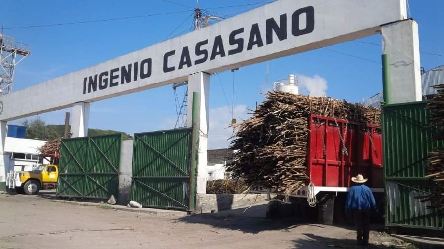 SE LOGRA PRECIO HISTÓRICO POR TONELADA DE CAÑA EN EL INGENIO DE CASASANO “LA ABEJA”