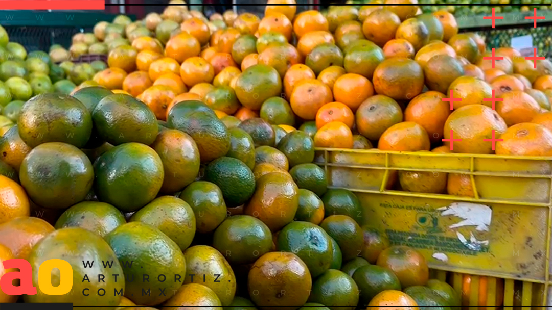 CON LA LLEGADA DEL FRÍO ES INDISPENSABLE CONSUMIR VITAMINA C