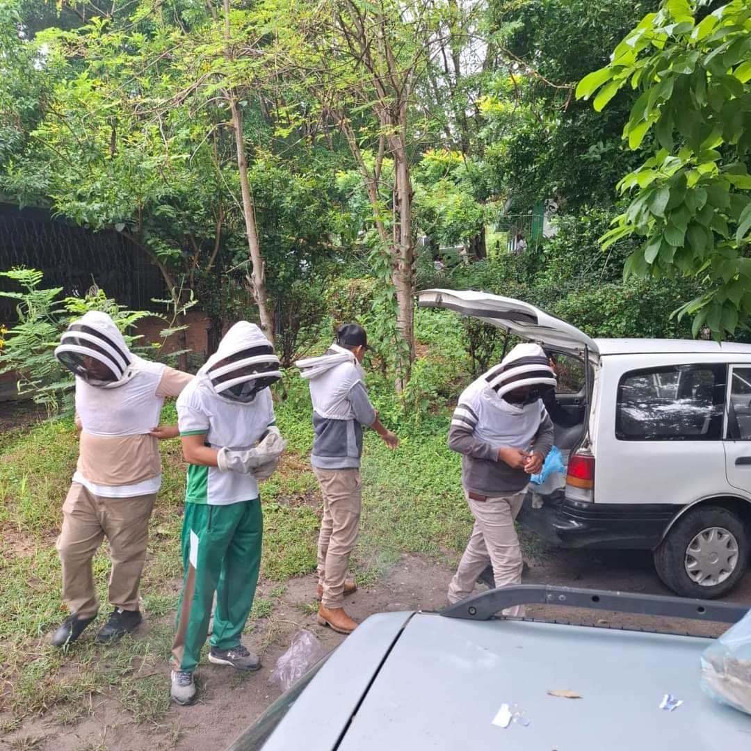 ATAQUE DE ABEJAS DEJA HOSPITALIZADOS A ESTUDIANTES DEL CBTA 8 EN XOXOCOTLA