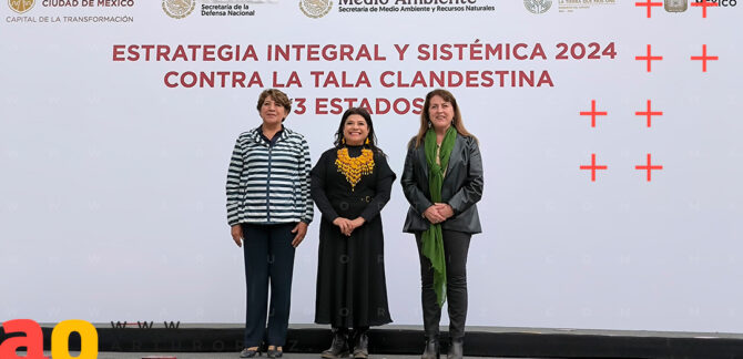 Las Gobernadoras de Morelos, Edomex y CDMX acordaron una estrategia conjunta contra la tala clandestina para proteger el corredor biológico Ajusco-Chichinautzin.
