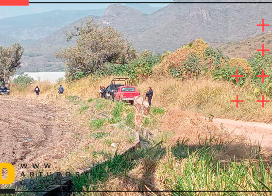 Los primeros reportes señalan que el cuerpo estaba quemado en un 80 por ciento; la víctima no ha sido identificado.