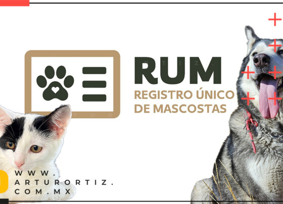 El Registro Único de Mascotas en Morelos será gratuito, facilitará la localización de animales perdidos y organizará campañas de vacunación y esterilización