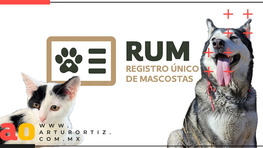 REGISTRO ÚNICO DE MASCOTAS EN MORELOS SERÁ GRATUITO