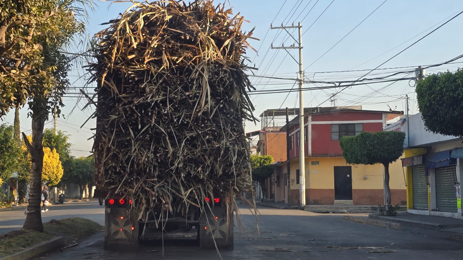 SEQUIA PROLONGADA PODRÍA AFECTAR PRODUCCIÓN DE CAÑA