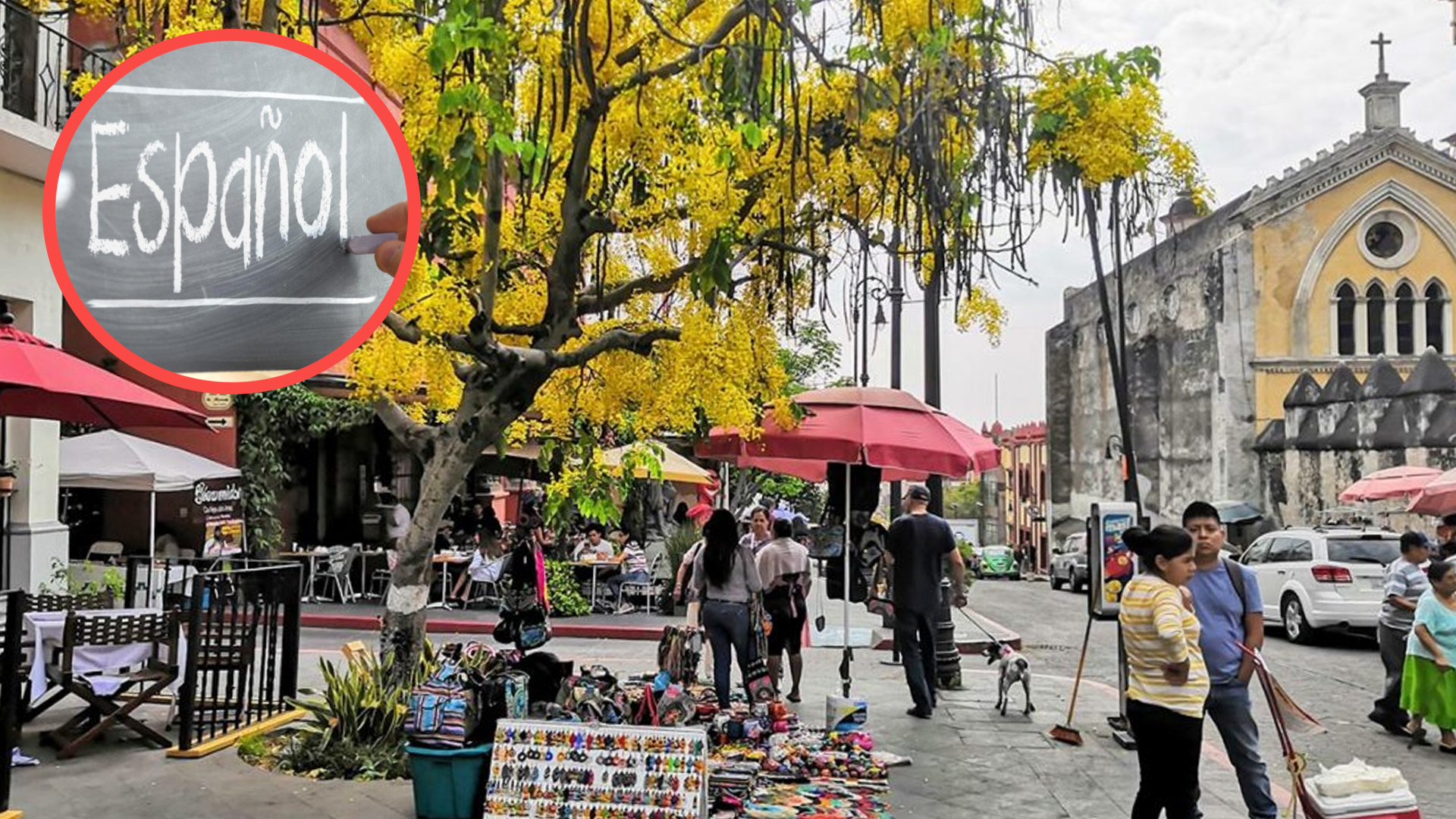 PRETENDE CUERNAVACA RETOMAR PRIMER LUGAR EN ENSEÑANZA DE ESPAÑOL