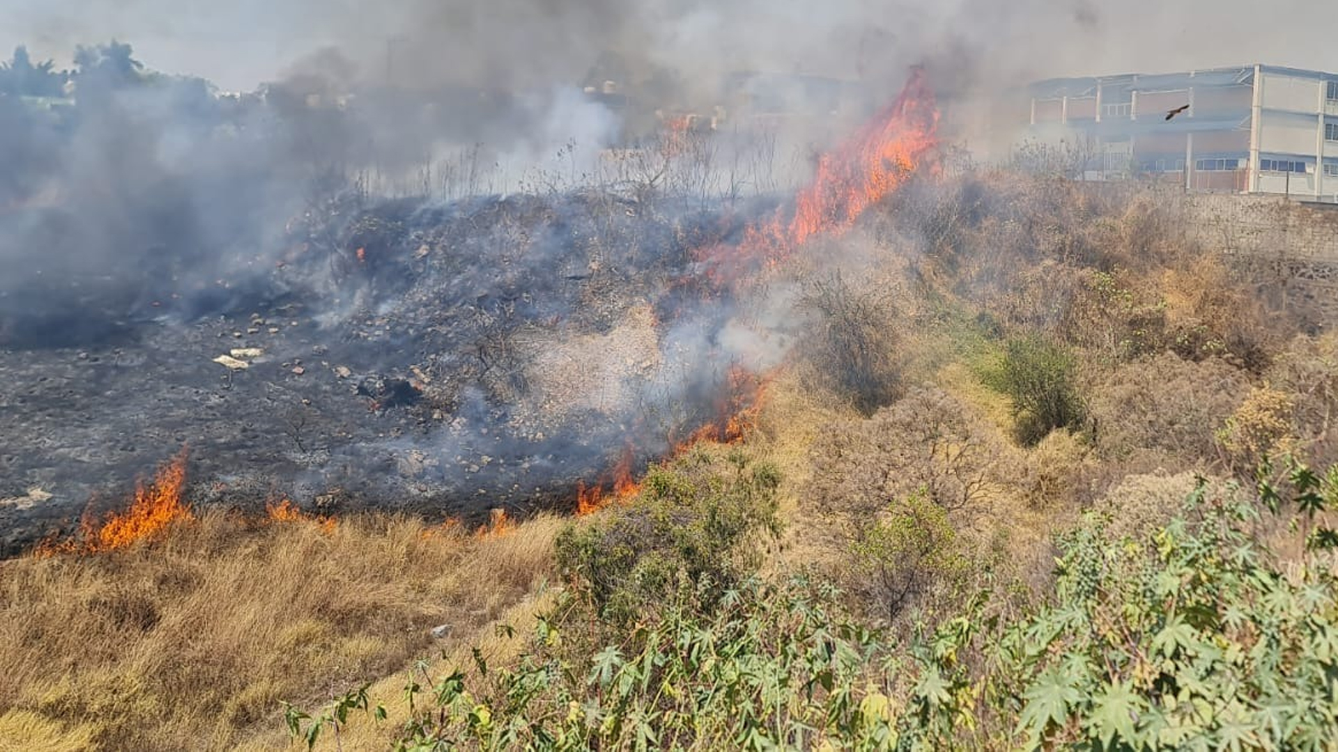 AL ALZA, INCENDIOS EN CUERNAVACA