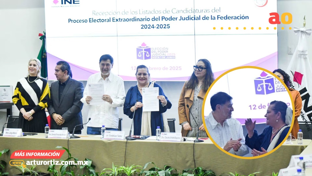 INE PUBLICA LISTAS DE CANDIDATOS JUDICIALES, PERO SE DESLINDA DE ERRORES