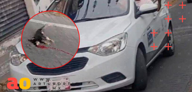 Investigan presunto caso de crueldad animal en Cuernavaca