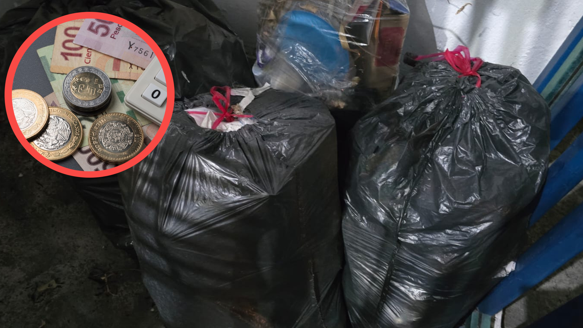 APLICARÁN MULTAS POR TIRAR BASURA EN LA VÍA PÚBLICA