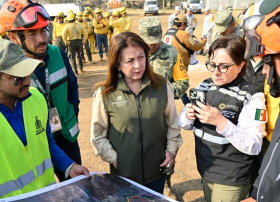 Gobernadora Incendio Las Tirolesas Tepoztlán