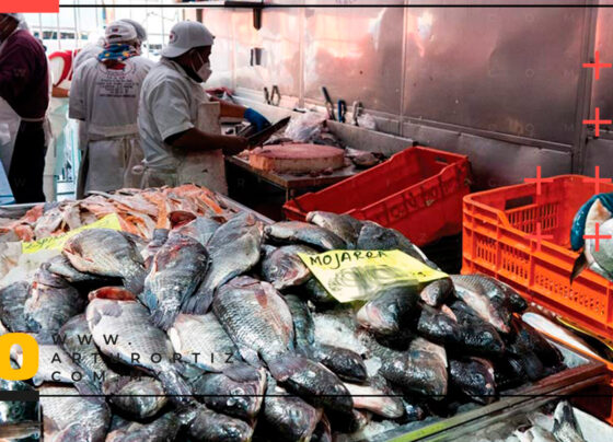 Mercado Adolfo López Mateos de Cuernavaca mantiene los precios de pescados y mariscos