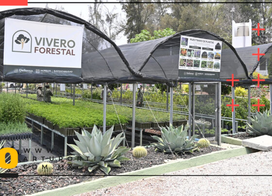 Inicia Vivero Forestal en Morelos