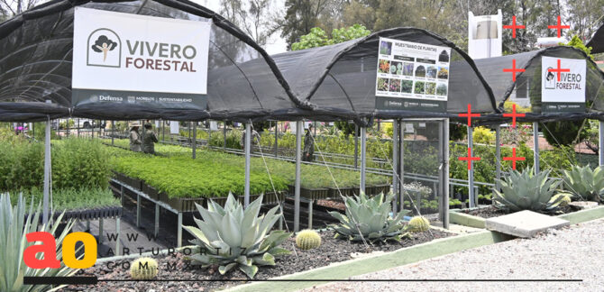 Inicia Vivero Forestal en Morelos