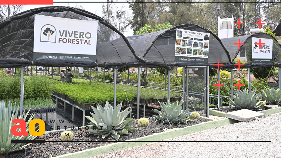 MORELOS INICIA VIVERO FORESTAL CON SEDENA PARA RESTAURAR ECOSISTEMAS