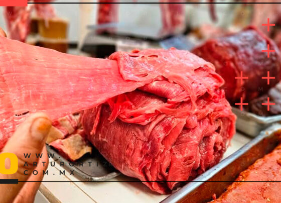 Cecina de Yecapixtla
