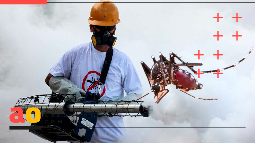 MOSCO DEL DENGUE CREA RESISTENCIA A INSECTICIDAS Y ABATE